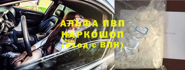 стаф Абинск