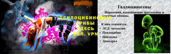 стаф Абинск