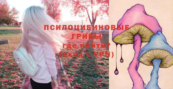 сатива Абаза