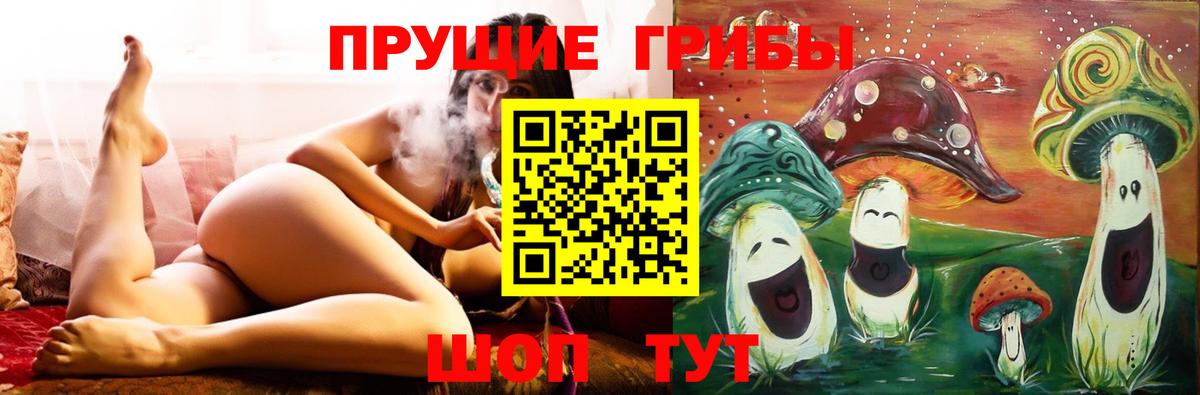 Азов  Псилоцибиновые грибы Psilocybine cubensis  Вход с VPN 